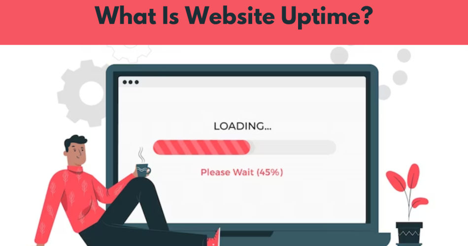 Website Uptime